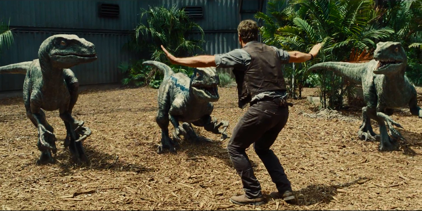 Chris Pratt in JURASSIC WORLD